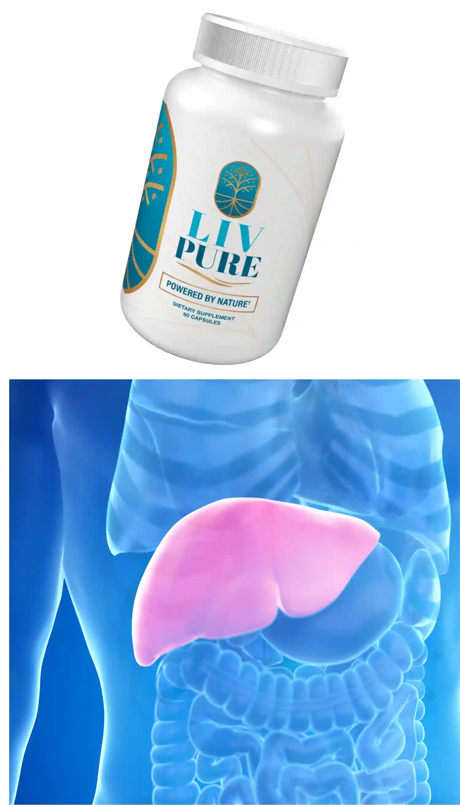 Mitolyn supplement bottle for mitochondrial support and healthy metabolism